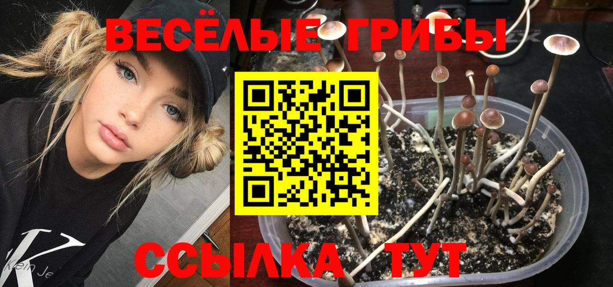 Галлюциногенные грибы мицелий  Псилоцибиновые грибы MAGIC MUSHROOMS  Кубинка  Вход с VPN 